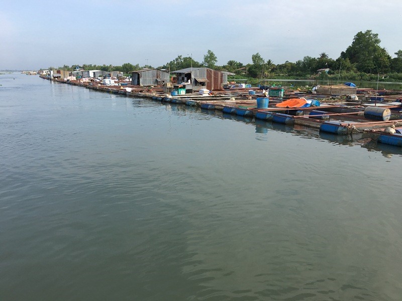 Tiềm năng mặt nước nuôi thả thủy sản ở Vĩnh Long là rất lớn. (Ảnh: K.V)