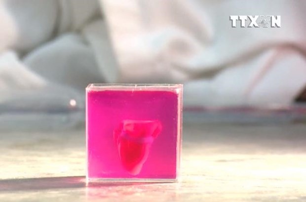 Trái tim in công nghệ 3D này có cấu trúc y hệt tim thật