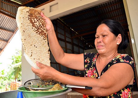 Người dân ở  huyện An Minh, tỉnh Kiên Giang luôn tâm niệm phải giữ gìn thương hiệu mật ong U Minh. Ảnh: NQ.