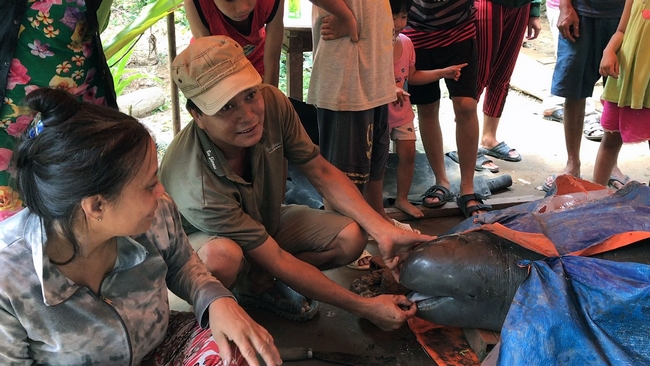 Khi hay tin gia đình anh Phan Văn Thái bắt được cá lạ, rất đông người dân hiếu kỳ đến xem.