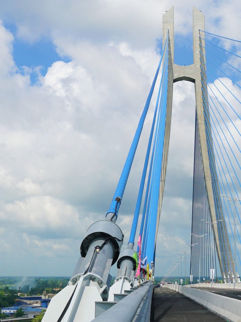 Cầu được thiết kế với quy mô cầu dây văng hai mặt phẳng dây, nhịp chính dài 450 m, tĩnh không thông thuyền 37,5 m. Trụ tháp cao 143,9 m. 