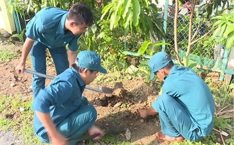 Lực lượng đoàn viên thanh niên trồng cây dầu dọc tuyến đường Đông Thành- Đông Bình.
