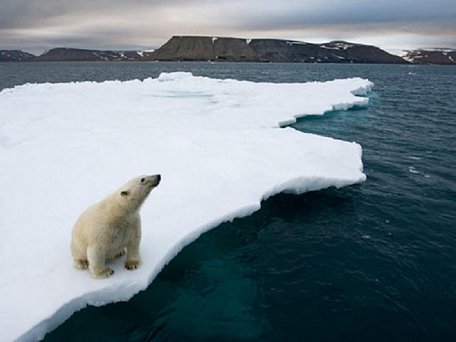 Nhiệt độ toàn cầu dự kiến tăng lên đến 5 độ C vào năm 2100 - Ảnh: National Geographic
