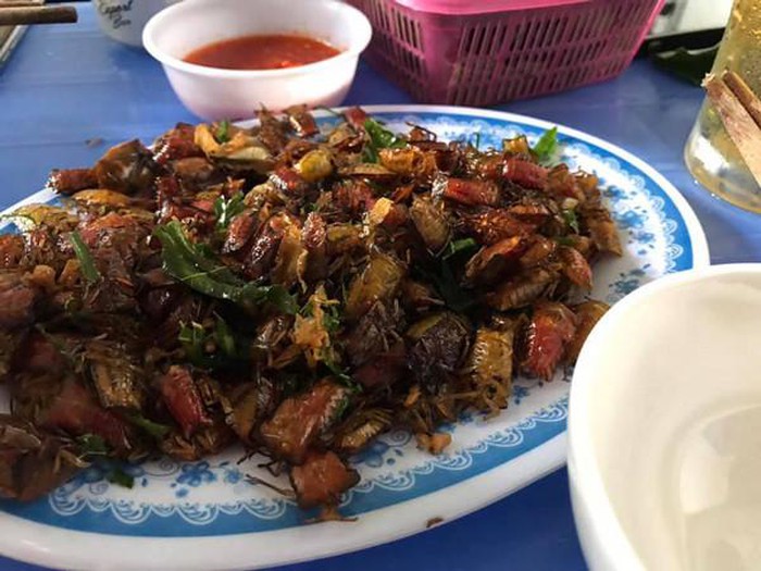 Bọ xít có thể chế biến thành nhiều món nhưng bọ xít rang lá chanh là phổ biến và được nhiều người thích nhất. Ảnh: Dân Việt.