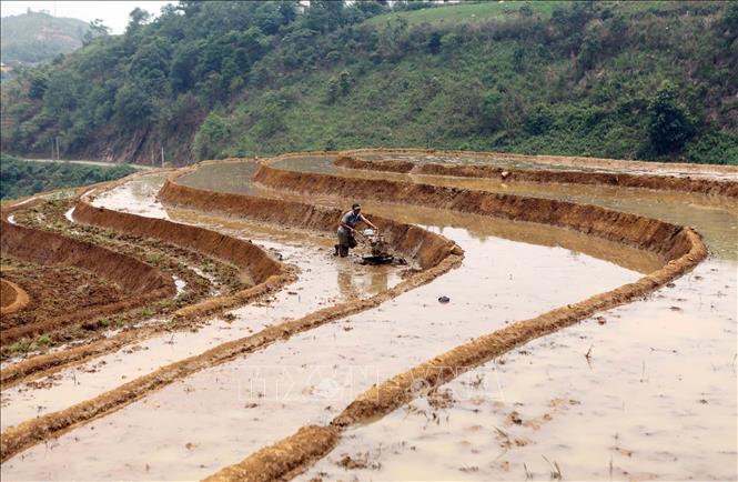 Người dân tập trung cấy trên những cánh đồng đã no đầy nước trời tại xã Tả Lèng huyện Tam Đường tỉnh Lai Châu.