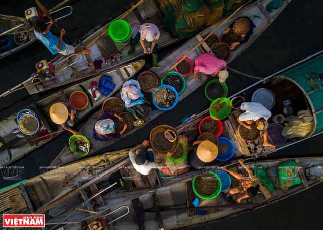 Chợ cá sớm trên đầm Quảng Lợi, Thừa Thiên-Huế.