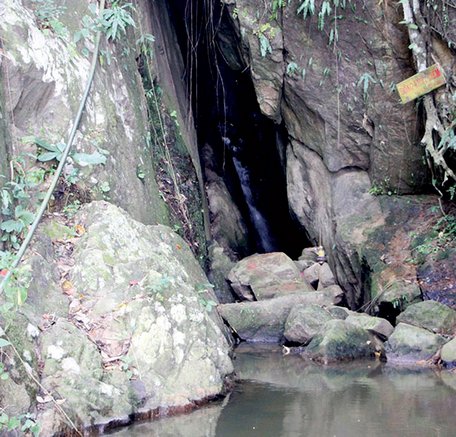  Động Thủy Liêm và huyền thoại về khỉ núi Cấm