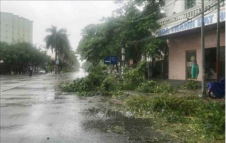 Cành cây gãy đổ tại khu I Đồ Sơn, Hải Phòng sau khi bão số 2 đổ bộ sáng 4/7. Ảnh: An Đăng/TTXVN