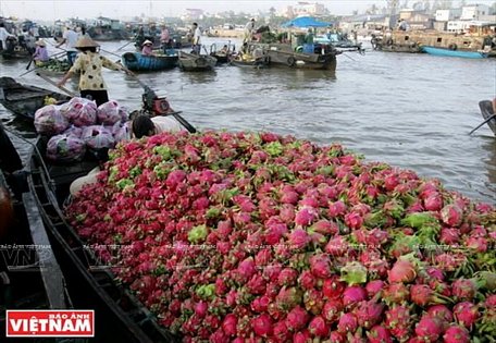 Chợ nổi Cái Răng là một chợ đầu mối nông sản nổi tiếng ở vùng Đồng bằng sông Cửu Long. (Nguồn: Báo Ảnh Việt Nam)