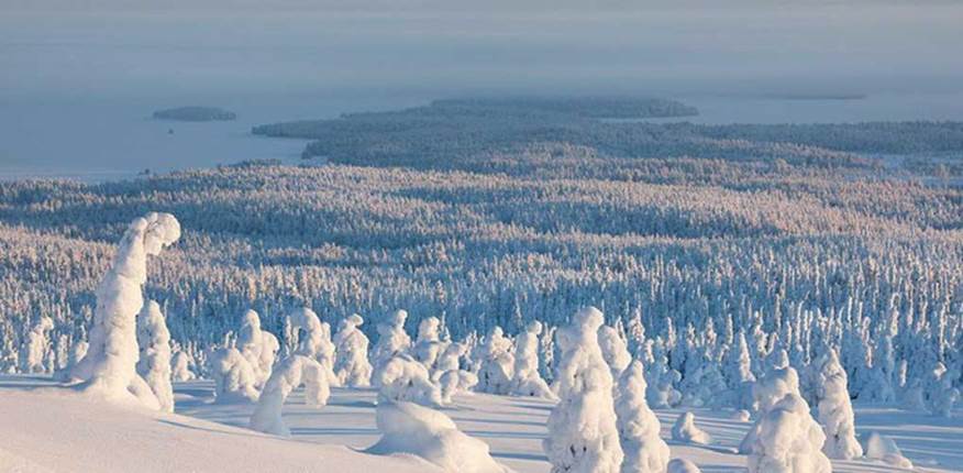 Phần Lan. Công viên quốc gia Riisitunturi, nằm gần Posio, miền nam Phần Lan, trông giống như một khu rừng người tuyết. Địa hình khó khăn và mùa đông đặc biệt khắc nghiệt, vì vậy, chỉ những người có kinh nghiệm mới nên tới đây.