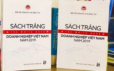  Sách trắng doanh nghiệp Việt Nam năm 2019