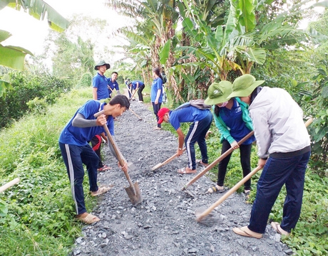 Sinh viên tình nguyện ĐH Cửu Long làm đường giao thông nông thôn.