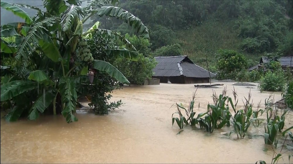  Mưa lũ làm hàng chục ngôi nhà ở huyện Vân Hồ, tỉnh Sơn La bị ngập sâu trong nước. (Ảnh: TTXVN)