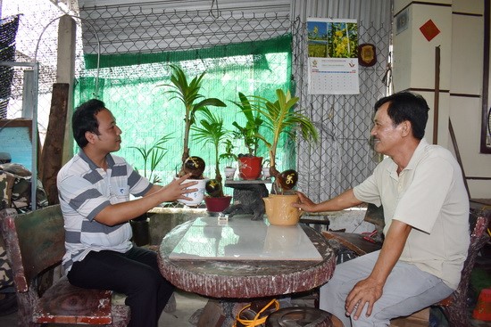 Ông Quốc (bên phải) giới thiệu những cây dừa bonsai do chính tay ông trồng và chăm sóc.