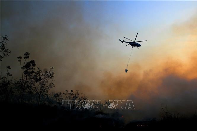 Máy bay trực thăng thả bom nước dập lửa trong vụ cháy rừng tại Ogan Ilir, Nam Sumatra, Indonesia. Ảnh tư liệu: AFP/TTXVN
