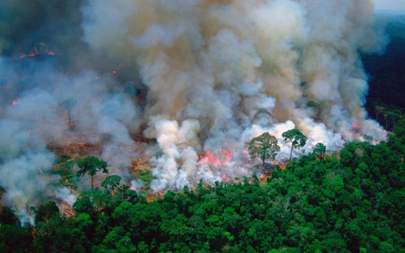 Cháy rừng Amazon gây hậu quả nặng nề cho biến đổi khí hậu. Ảnh: Alamy.