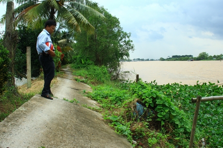 Tuyến đê bao cồn Giông ven sông Tiền có nhiều đoạn đường đan sụt lún, nghiêng chiềng ra mé sông.