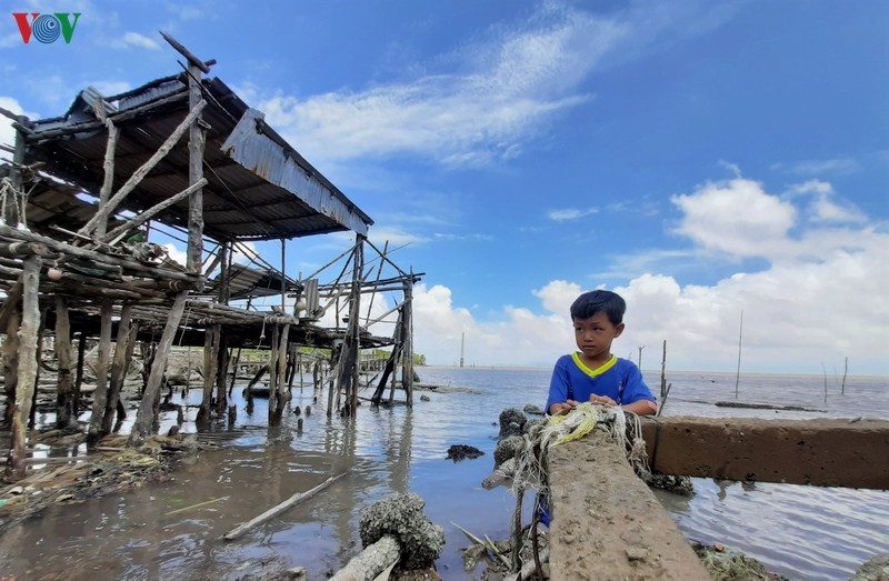 Thực trạng sạt lở bờ biển Đông của Cà Mau đang rất nan giải, ảnh hưởng khu nhiều khu dân cư.