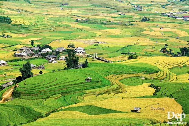 Thung lũng Cao Phạ là một trong những điểm ngắm lúa đẹp nhất trên hành trình.