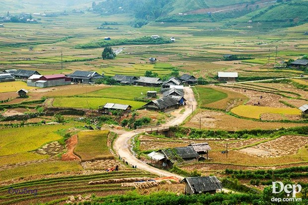 Người dân sống xen kẽ với ruộng lúa ở thung lũng Cao Phạ.