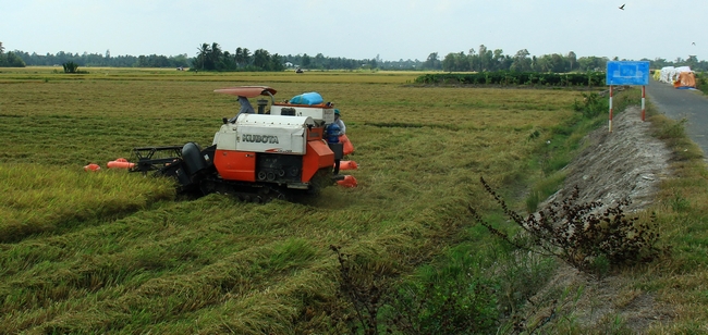 Nông nghiệp- nông thôn là lĩnh vực tỉnh Vĩnh Long khuyến khích khu vực kinh tế tư nhân tham gia.