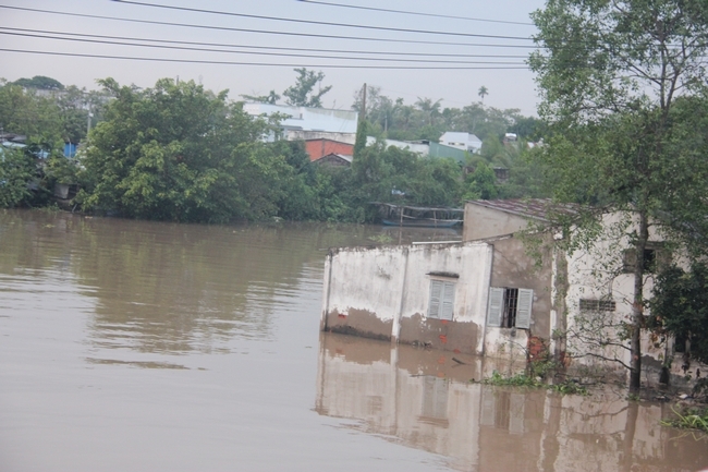 Một số ngôi nhà cạnh sông ngập nặng. 