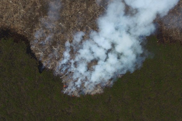 Cháy rừng ở Indonesia - Ảnh: BLOOMBERG