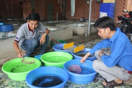 Anh Nguyễn Thanh Tân (trái) bên trang trại sản xuất lươn giống tại xã Bình Hòa Phước.