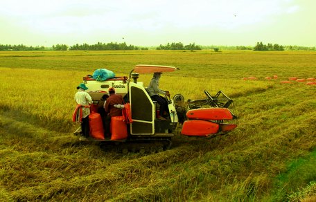 Festival góp phần nâng cao khả năng cạnh tranh của nông sản Việt Nam nói chung và nông sản Vĩnh Long nói riêng.