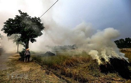 Đốt rơm rạ gây khói mù tại khu vực các xã huyện Quốc Oai, thành phố Hà Nội. (Nguồn ảnh: TTXVN)