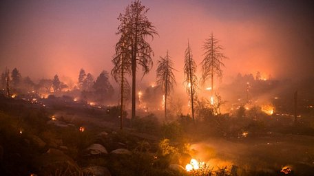 Cháy rừng ở California ngày càng khó kiểm soát. Ảnh: National Geographic