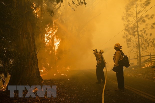 Lính cứu hỏa nỗ lực dập cháy rừng tại bang California, Mỹ. (Nguồn: AFP/TTXVN)