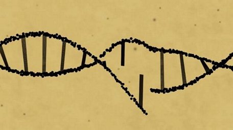 Công nghệ mới có thể chỉnh sửa 89% gen lỗi. Ảnh: CNN
