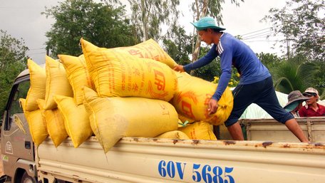 Lúa gạo Việt Nam còn đóng góp cho an ninh lương thực thế giới. Ảnh L.SƠN