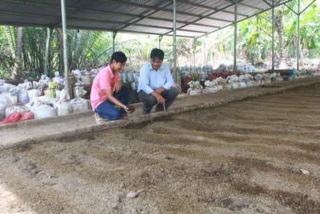 Anh Nguyễn Văn Thảo (Trà Ôn) khởi nghiệp với mô hình “nông trại xanh” đang tiếp tục gặt hái thành công.