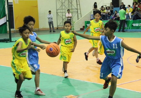Tranh tài môn bóng rổ bậc tiểu học.