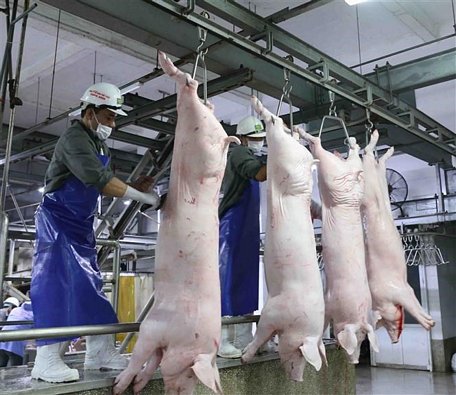 Dây chuyền chế biến thịt lợn tại nhà máy của Công ty Cổ phần Công nghệ thực phẩm Vinh Anh, huyện Thường Tín (Hà Nội). (Ảnh: Vũ Sinh/TTXVN)