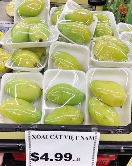 Xoài Việt Nam đã có trên kệ tại siêu thị ở Mỹ.