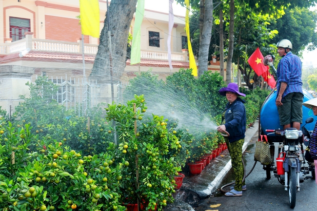Dịch vụ vận chuyển nước tưới hoa kiểng tại chợ hoa xuân TP Vĩnh Long mỗi ngày kiếm được gần 1 triệu đồng từ việc cung cấp nước cho 15- 20 lô kiểng trong thành phố.