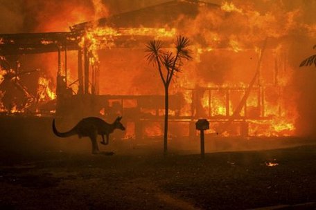 Cháy rừng tại miền Đông Australia có thể chấm dứt vào cuối tuần này. (Ảnh: KT)