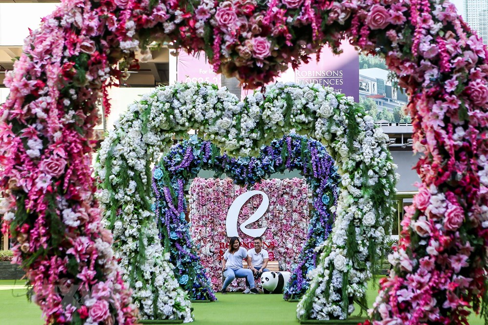  Hoa hồng được kết thành hình trái tim khổng lồ để chào đón ngày Lễ tình yêu tại Quezon, Philippines, ngày 11/2/2020. (Nguồn: THX/TTXVN)