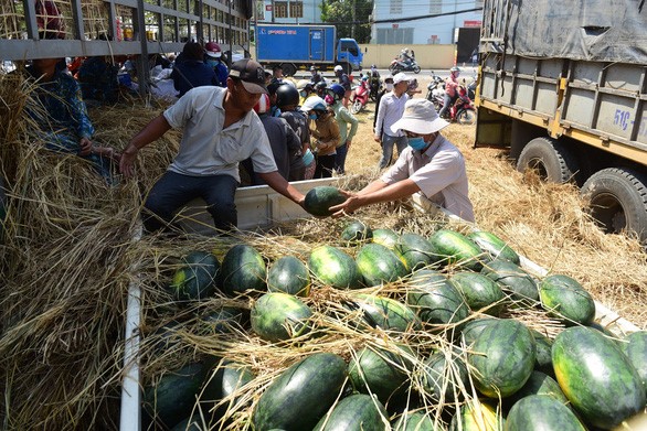 Rất đông người dân mua dưa hấu với giá 5.000 đồng/kg tại đường Đỗ Xuân Hợp (Q.9, TP.HCM) - Ảnh: QUANG ĐỊNH