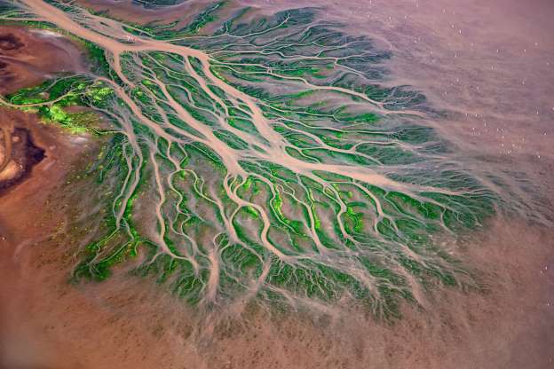 Châu thổ sông Ewaso Ngiro ở Kenya.