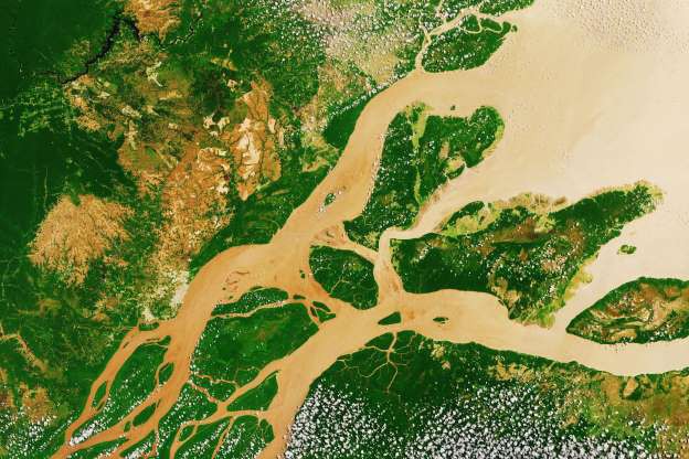 Châu thổ sông Amazon ở Nam Mỹ.