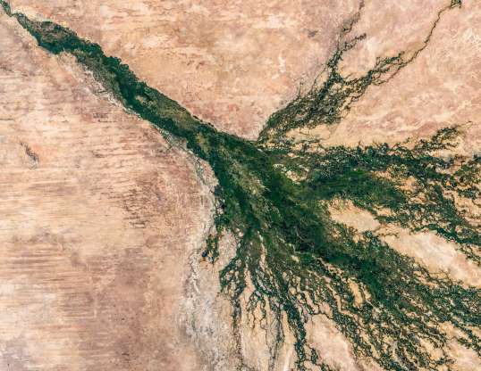 Châu thổ sông Okavango ở Botswana.