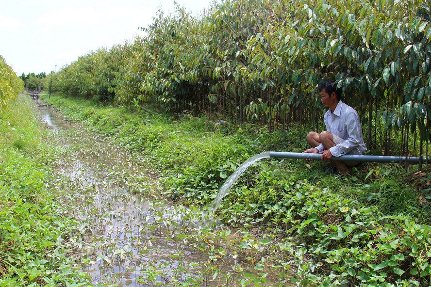 Ông Trần Thanh Lợi phải sử dụng 3 máy bơm và phải bơm tới 3 đoạn, với tổng chiều dài 800m mới có thể kéo nước ngọt ít ỏi về tưới vườn cây vườn mình.