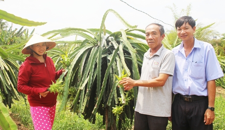 Nhờ chuyển đổi cơ cấu cây trồng hiệu quả mà gia đình chị Lan (bìa trái) có cuộc sống ổn định hơn.