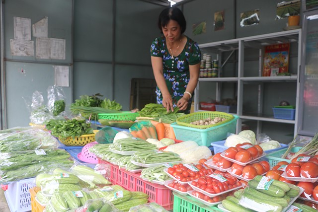 Rau an toàn của Tổ hợp tác sản xuất rau an toàn xã Mỹ Tân được bán tại quầy rau an toàn tại chợ TP.Cao Lãnh