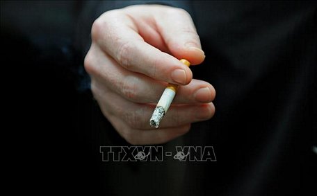 EU và Anh cấm bán thuốc lá bạc hà và các loại thuốc có mùi vị khác. Ảnh: AFP/TTXVN
