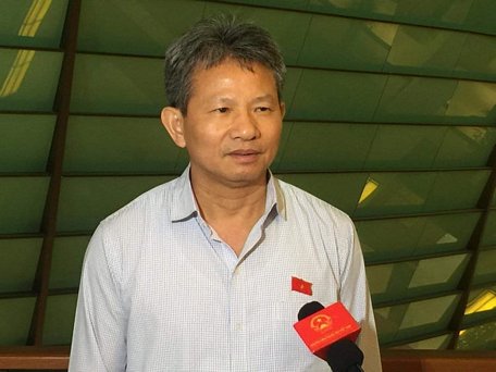 Ông Đỗ Văn Sinh, Ủy viên Thường trực Ủy ban kinh tế của Quốc hội. (Ảnh: CTV/Vietnam+)